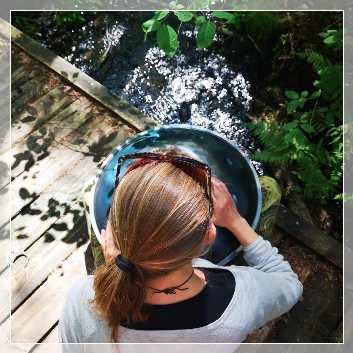 Forest bathing with live handpan music
