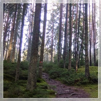 Marvikarnas Naturreservat