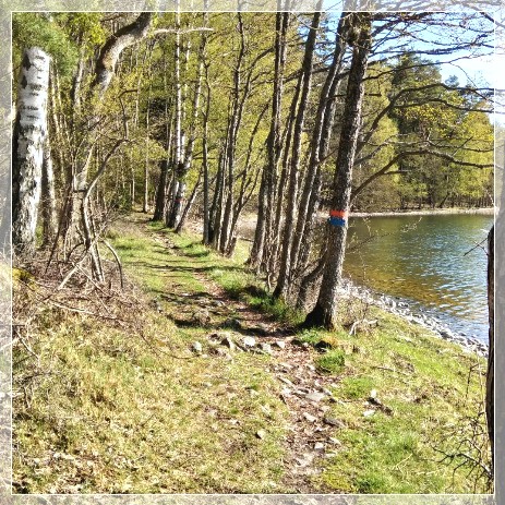 Nynäs Naturreservat Sörmlandsleden