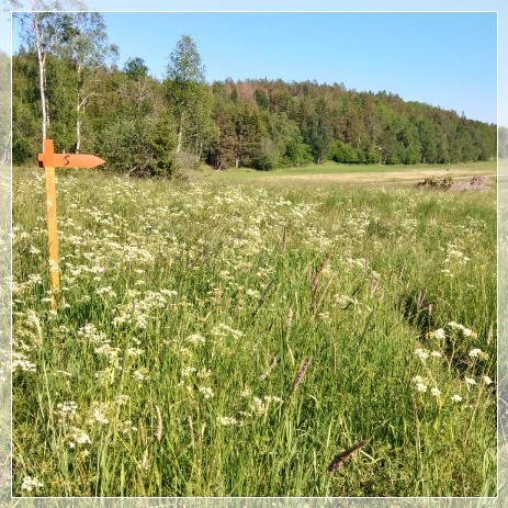 Nynäs Naturreservat Sörmlandsleden