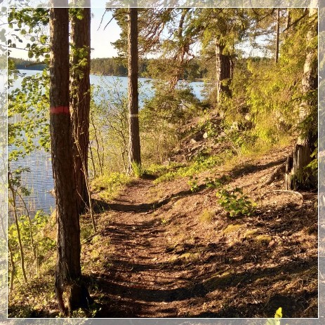 Nynäs Naturreservat Sörmlandsleden