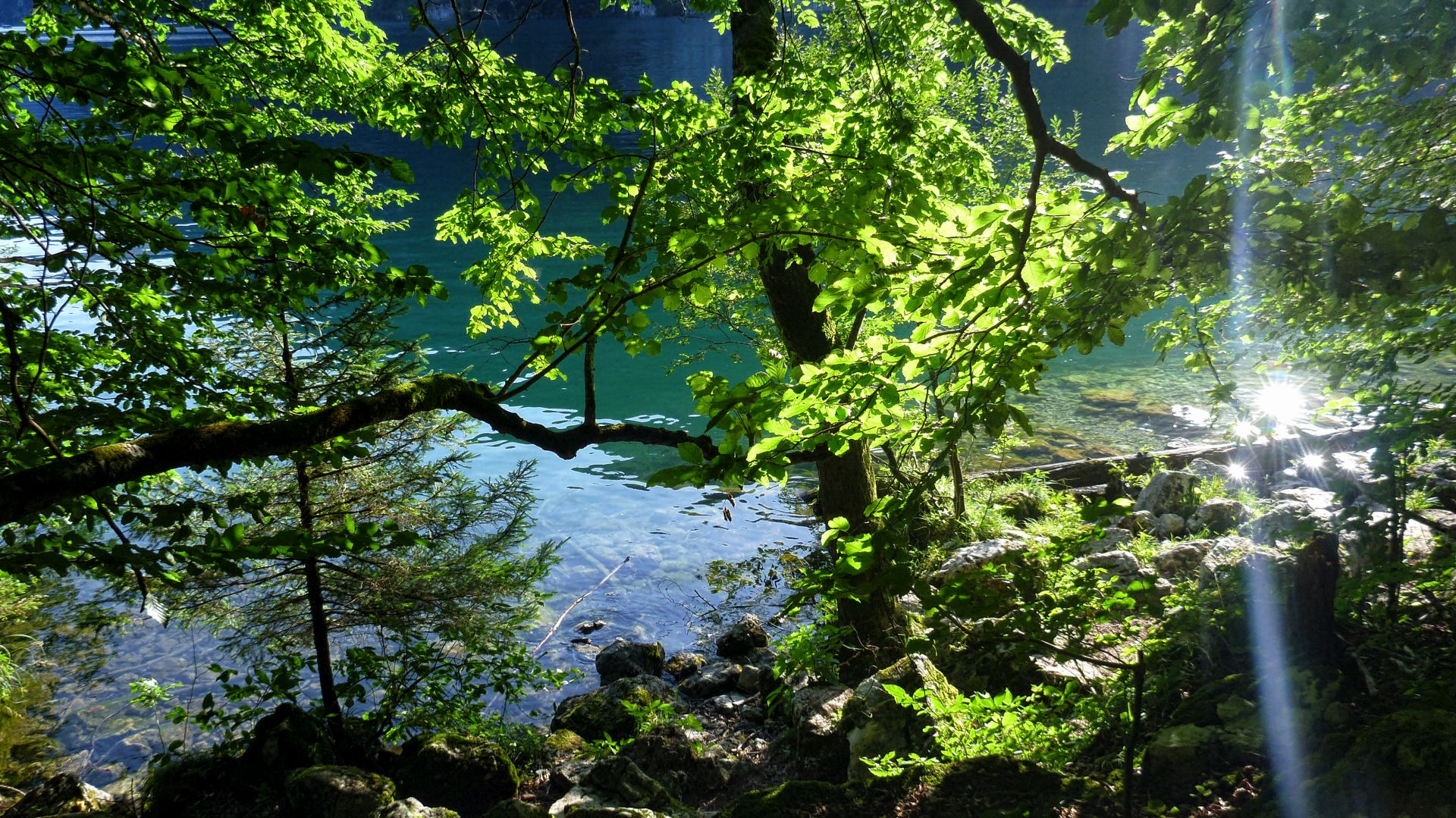 Forest bathing with SwedenExperienceTours
