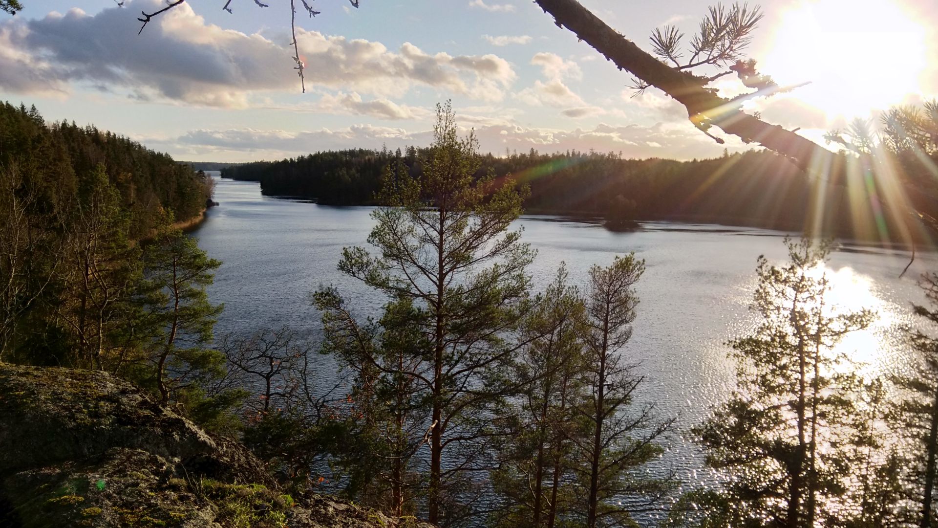 Utnäset Naturreservat