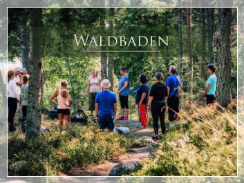 Forest bathing Sweden Experience Tours 