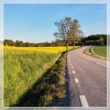 Roadtrip väg 223